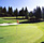 Golfing